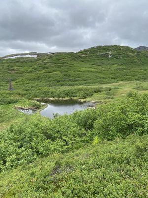 Ermine Creek Trailhead