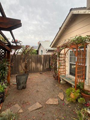 Dangi´s Landscaping and Tree Services