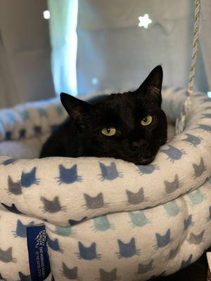 Part of the Pack 607