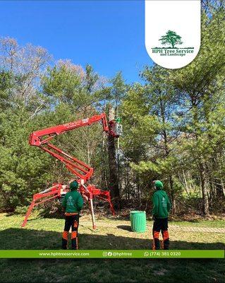 HPH Tree Service And Landscape