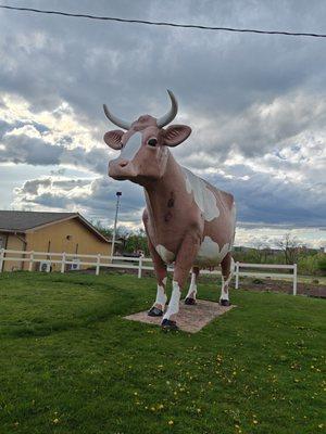 Three - Oh - Nine - Nina