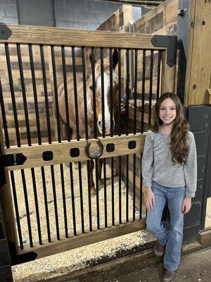 Chestnut Bay Equestrian