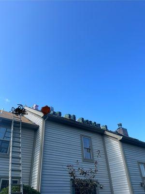 Alex's Landscape Services