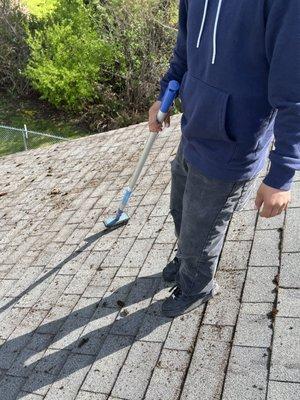 Henry Landscaping Services