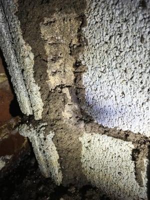 HazMatt Pest Control