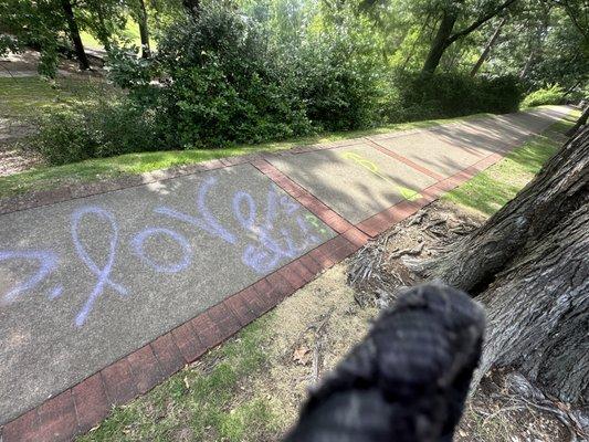 Vulcan pressure washing