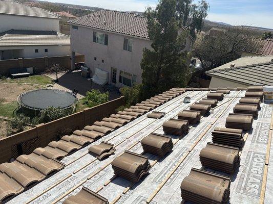 Desert Cactus Roofing