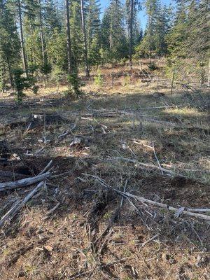 Backwoods Forestry Mulching