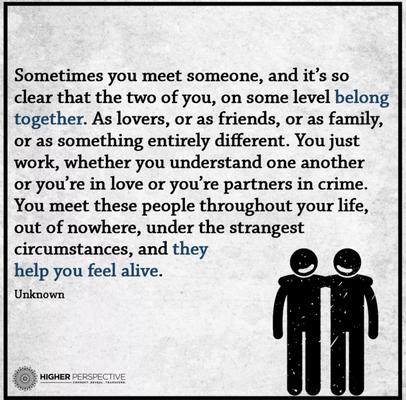 Hollywood's Hair Studio