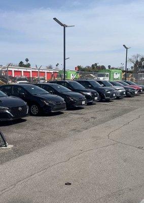 All the cars they had but wouldn't give us one for the price they quoted us.