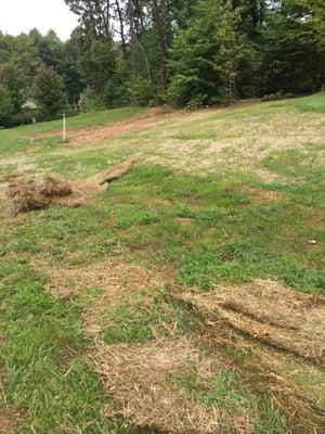 Native Design & Restoration Landscapes, LLC