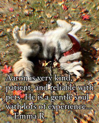 Aarons Dog Walking and Adventures