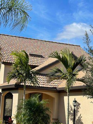 All Pro Pressure Wash Plus
