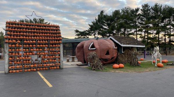 Pumpkin , pumpkin stacked wall and and a haunted house ( not scary... just decorated.