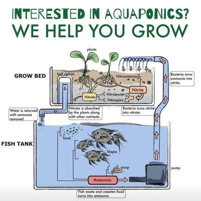 We've built and operated aquaponics farms in the state.