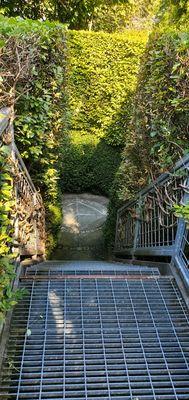 The Mountsier Garden