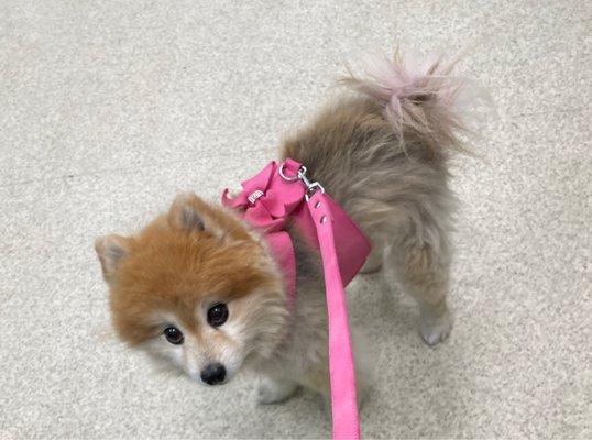 Heights Animal Hospital