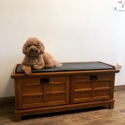 Bloomsburg Veterinary Hospital