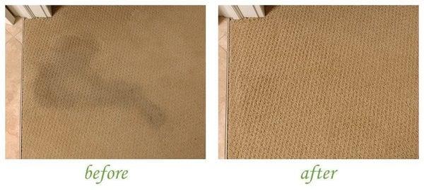 Spot On Carpet & Tile Care