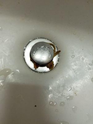 A filthy sink that has, oh god I dont even know what that is. Scraps of something