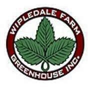 Wipledale Farm Greenhouse