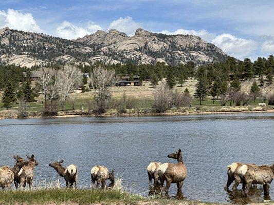 Purple Points Tour Company