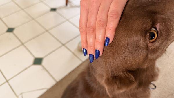 Blue almond shape gelX nails.