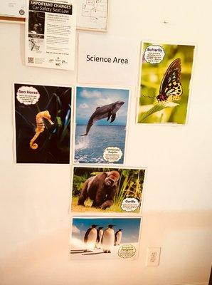 Learn & Play Family Daycare