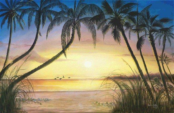 Oakley Portrait and Design