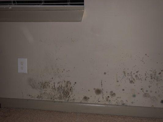 Grove at Hickory Valley