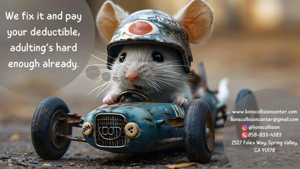 Lions Collision Center