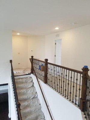 Tony's Painters & Drywall Repairs