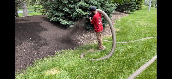 Blown in mulch installation