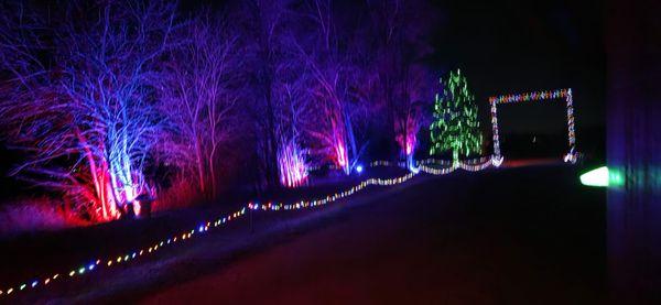 Farm Of Lights