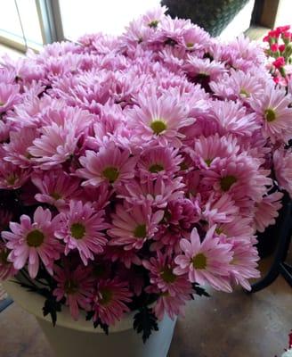 Bloomz Florist & Gift Shop