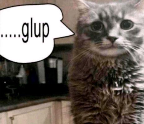 Starboard Side Tavern