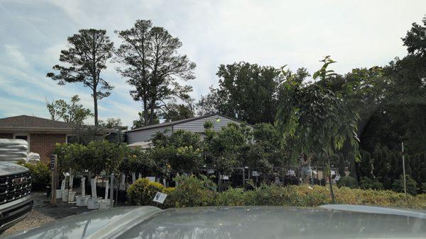 Indian Creek Wholesale Nursery