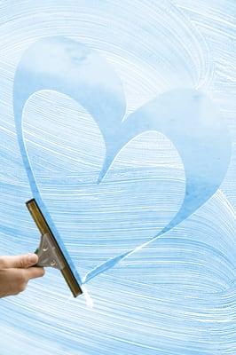 Banas Perfect Window Washing