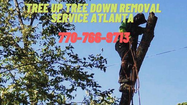 Tree Up Tree Down Removal Service Atlanta