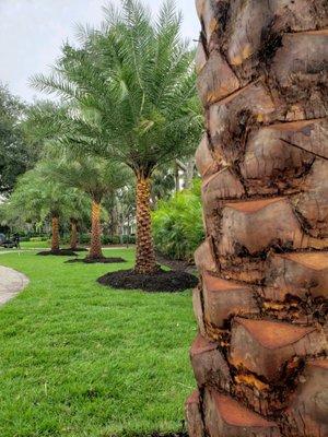 Florida Environmental