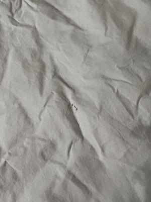 Turlock Dry Cleaners