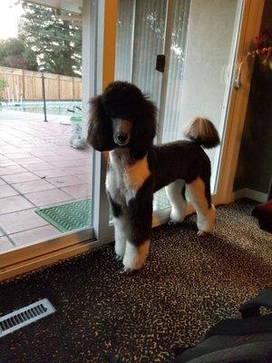 Post haircut before the curls set in!