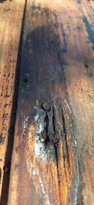 Mineola Home Improvement Services