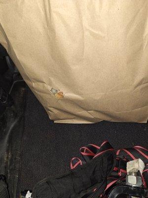 Comfort Inn & Suites Pittsburgh-Northshore