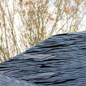 Revive Water Damage Restoration of Miami