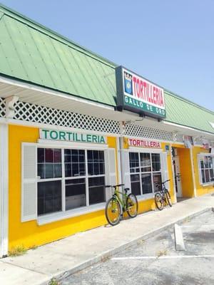 Tortilleria Gallo de Oro