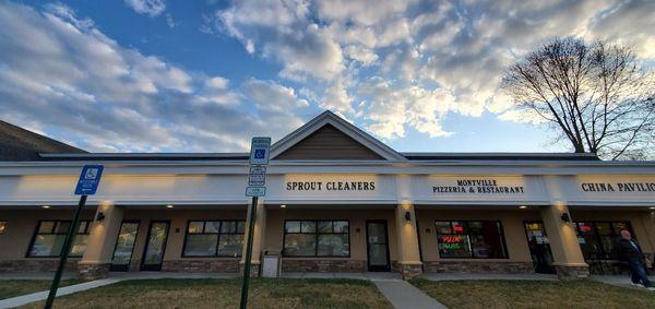 Sprout Cleaners