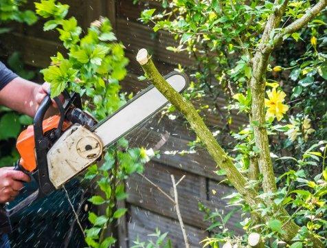 Hamm's Landscaping and Pressure Washing