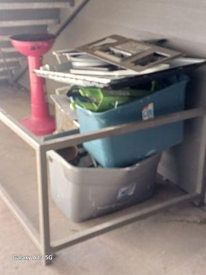 Magnolia at village Creek