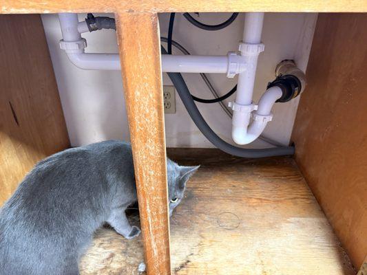 House QC inspecting plumbing